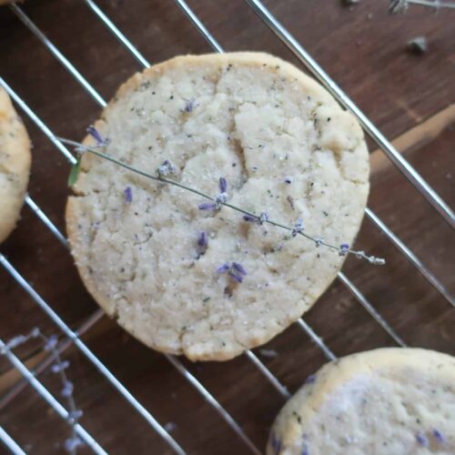 one bowl cookie recipe