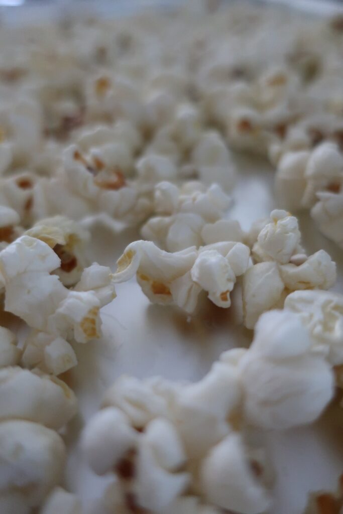 popped popcorn for single serve black and white popcorn with toasted cashews; popcorn drizzled with. white chocolate and dark chocolate; single serve recipes