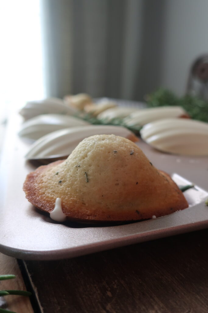 madeleine nose; rosemary madeleines with a white chocolate shell in madeleine pan surrounded by fresh rosemary and striped blue napkin