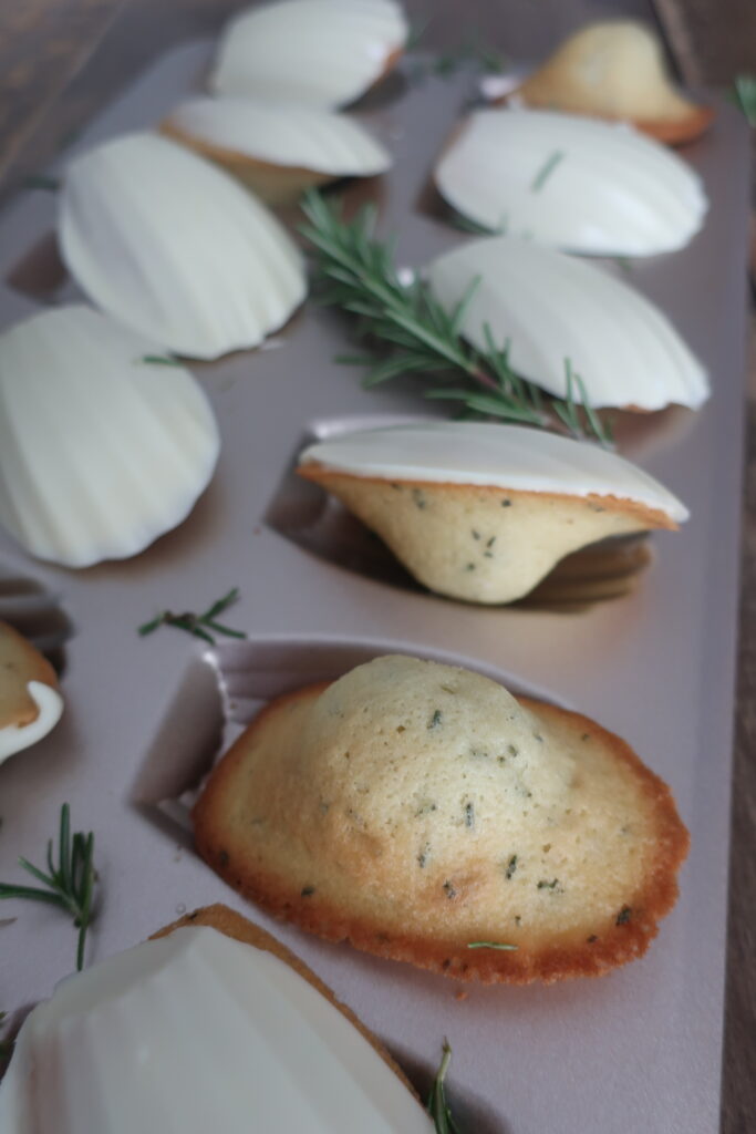 rosemary madeleines with a white chocolate shell in madeleine pan surrounded by fresh rosemary and striped blue napkin