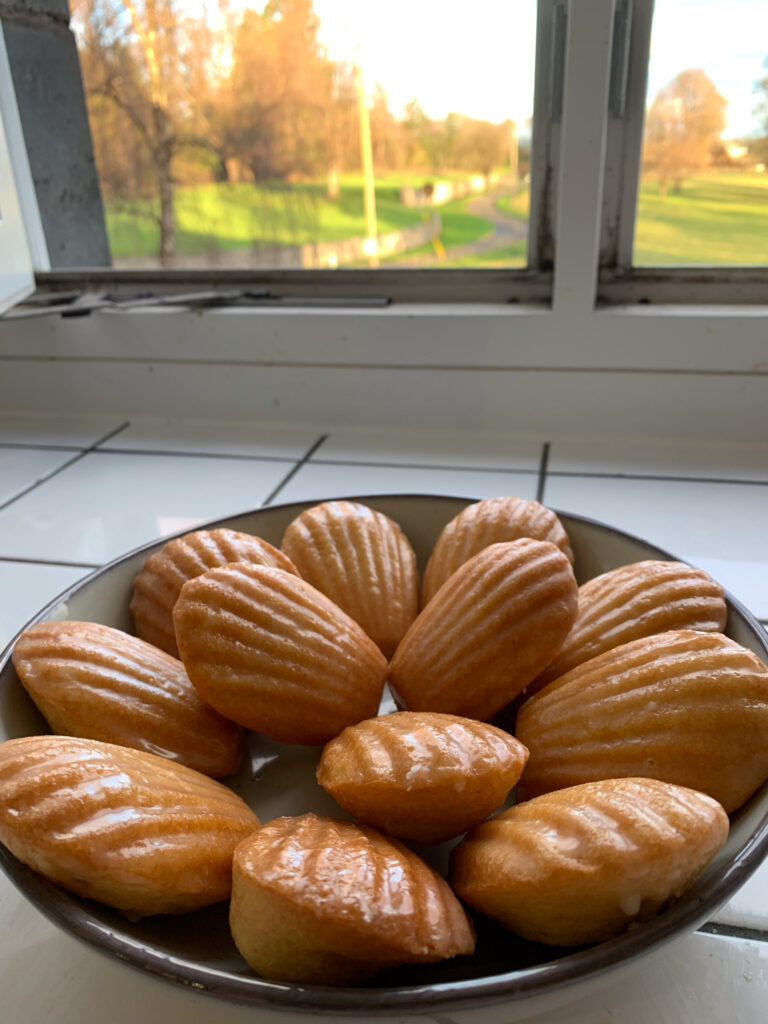 lemon madeleines with lemon glaze