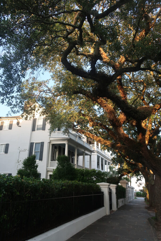 woman on rainbow row in charleston; charleston historic district; things to do in charleston south carolina; visit charleston south carolina; places to see outside of the historic district in charleston south carolina; southern united states state; usa road trip; southern charm; charleston flower boxes; mount pleasant charleston; beach towns; small town usa; daniels island south carolina; daniel island ferry south carolina