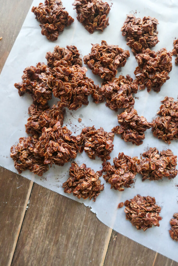 chocolate fudgy no bakes