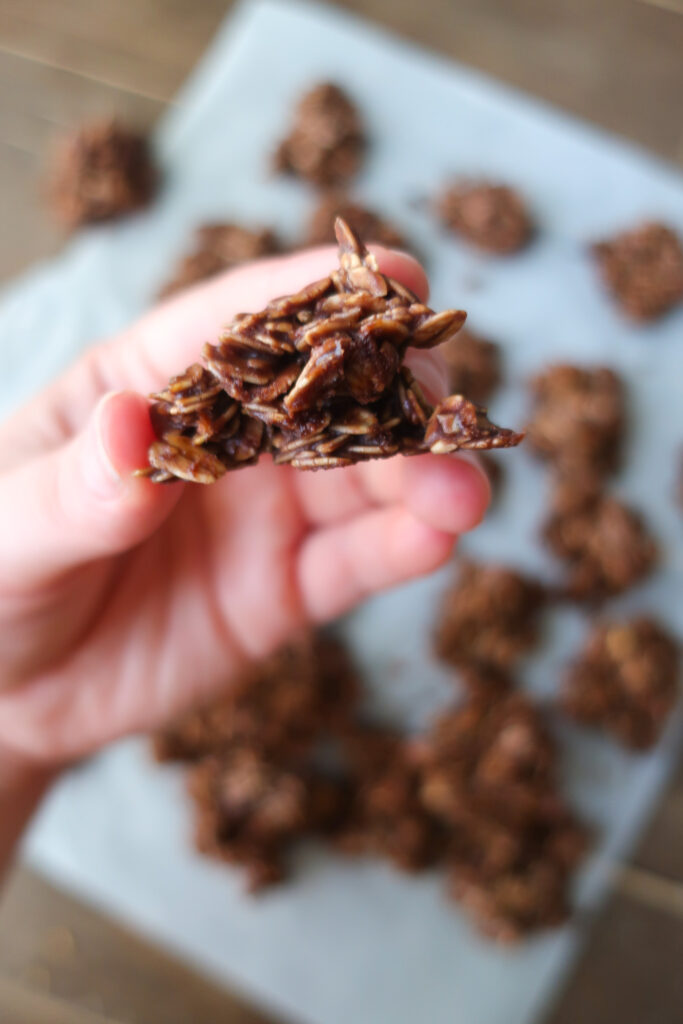 up close of chocolate fudgy no bakes