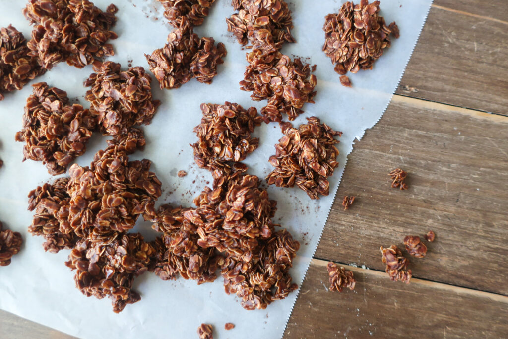 chocolate fudgy no bakes