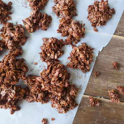 chocolate fudgy no bakes