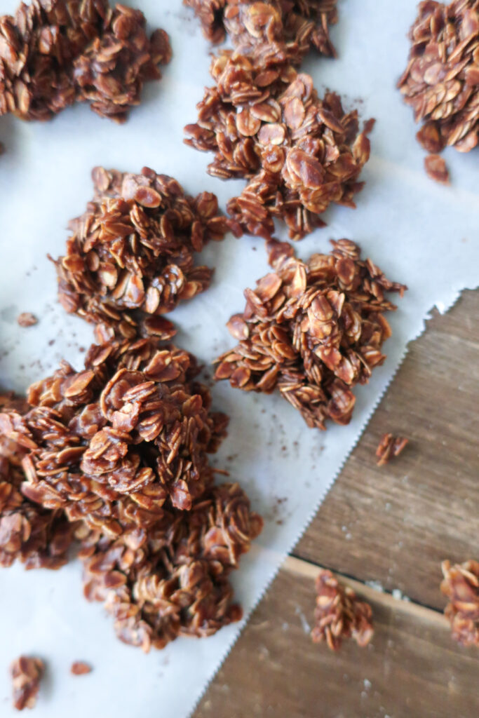 chocolate fudgy no bakes