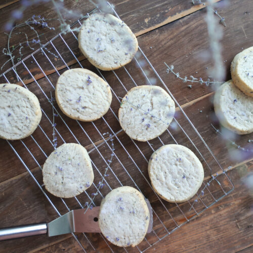 earl grey and lavender shortbread cookies on wire rack next to pitcher of fresh lavender and metal spatula