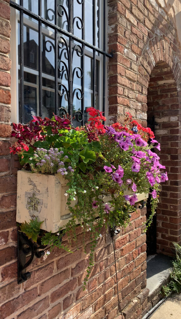 woman on rainbow row in charleston; charleston historic district; things to do in charleston south carolina; visit charleston south carolina; places to see outside of the historic district in charleston south carolina; southern united states state; usa road trip; southern charm; charleston flower boxes