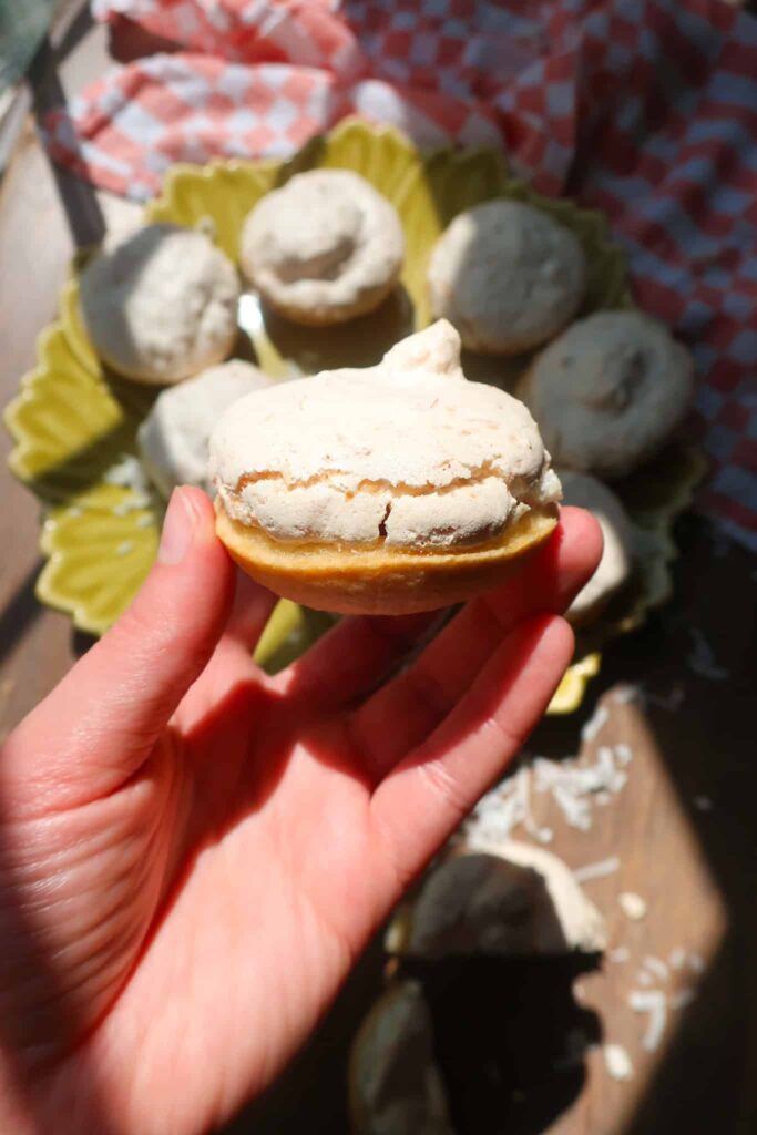 hand holding up a south african hertzoggie mini coconut tart
