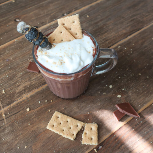 s'mores hot chocolate with fresh whipped cream and roasted marshmallows surrounded by crumbles of graham crackers