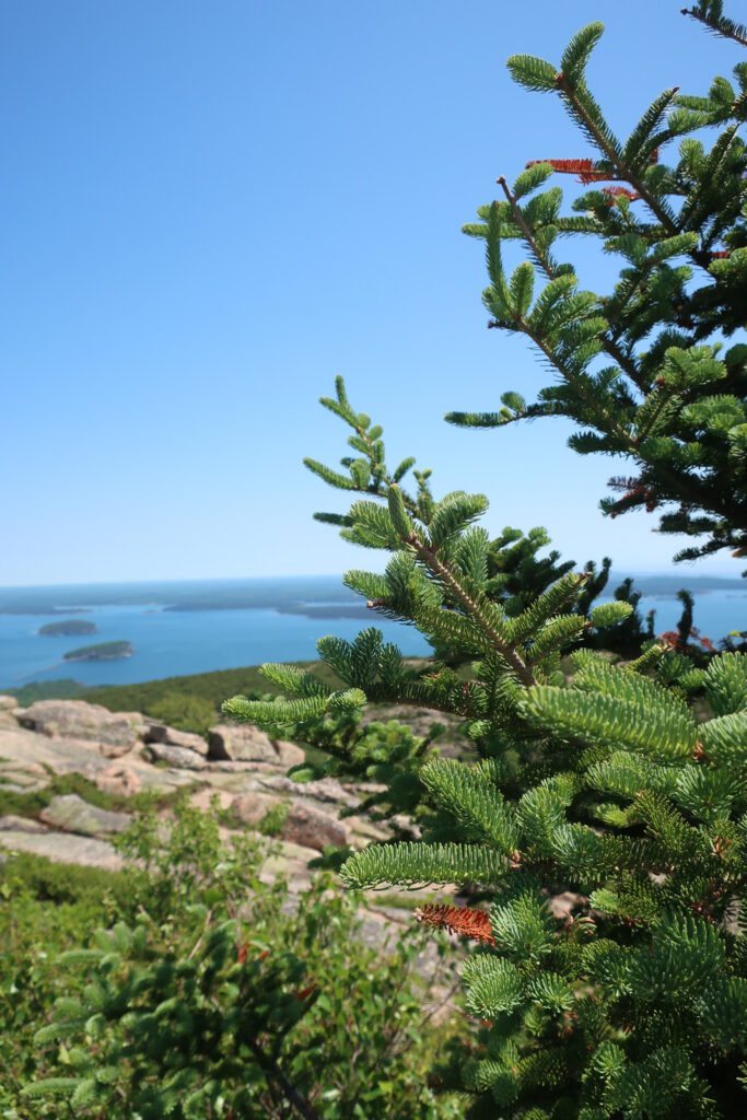 maine road trip; mother daughter roadtrip; acadia national park; usa roadtrip; roadtrip itinerary; maine travel guide; new england travel tips; bar harbor maine; maine food recommendations; hikes acadia national park maine