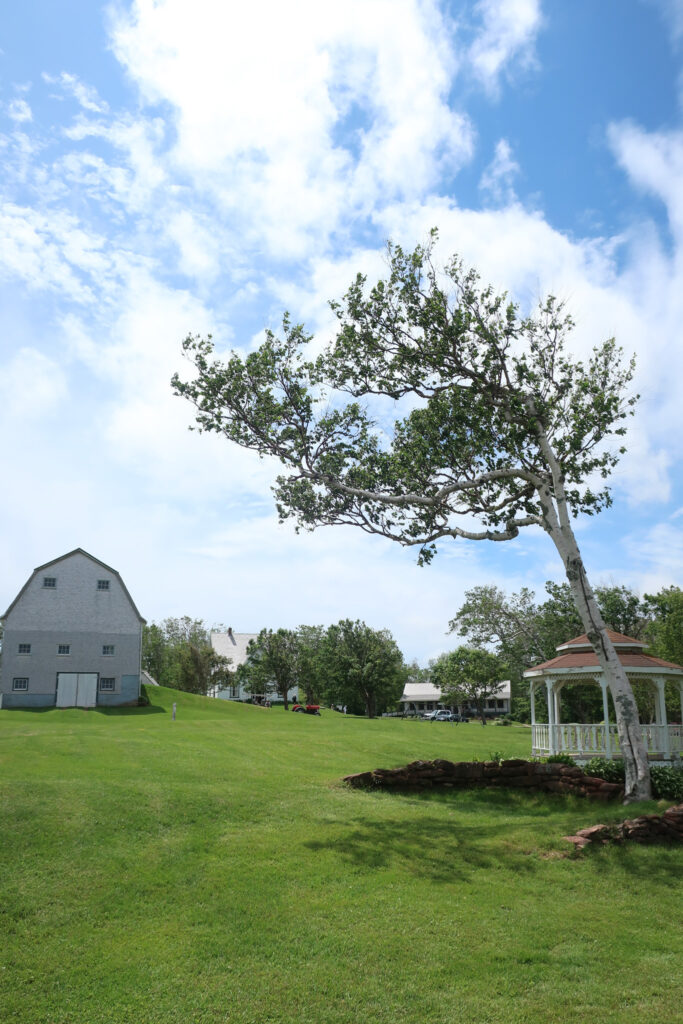 anne of green gables; Lucy Maud Montgomery childhood home on prince edward island in canada; anne of green gables fan