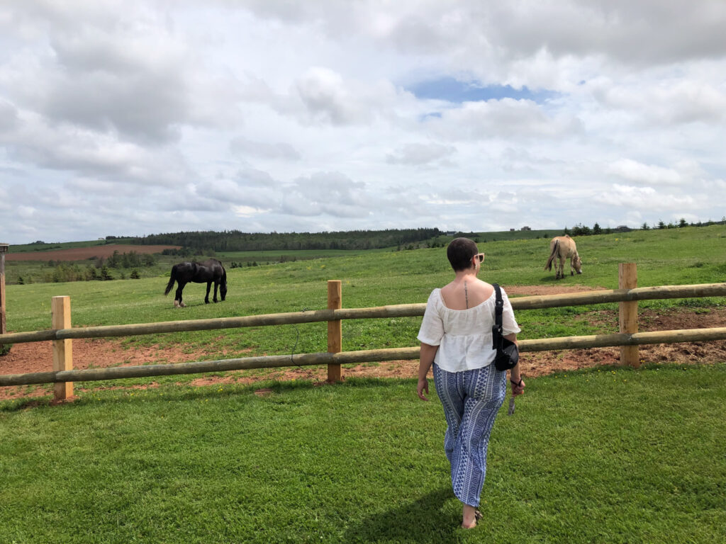 anne of green gables; Lucy Maud Montgomery childhood home on prince edward island in canada; anne of green gables fan; anne of green gables museum