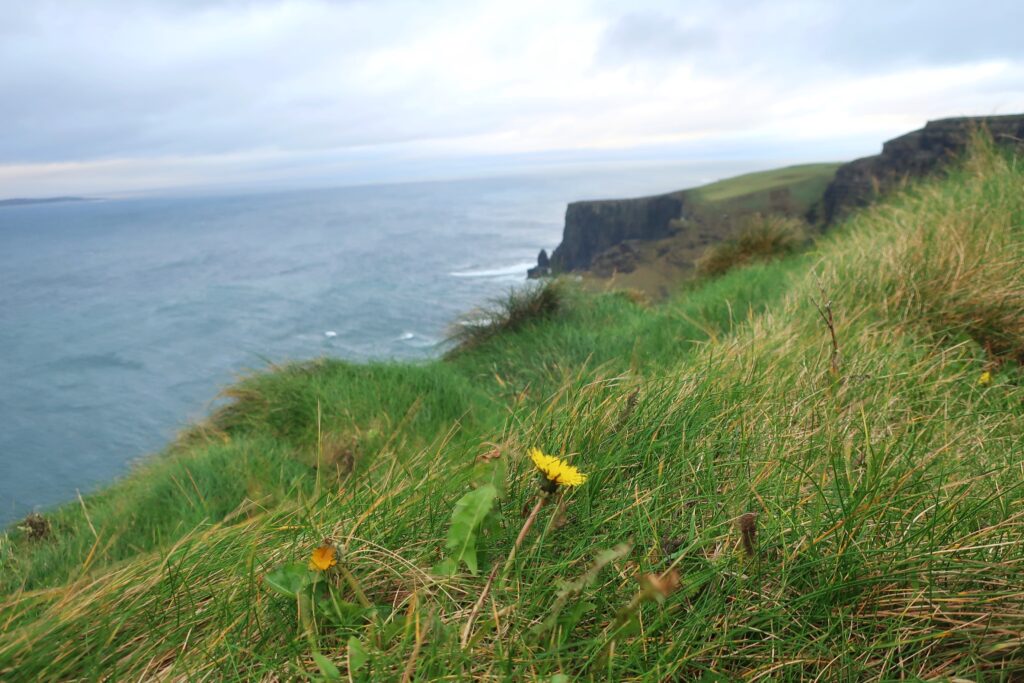 cliffs of moher; road trip ireland, europe; solo travel; solo female travel; ireland itinerary; ring of kerry drive; ireland in november