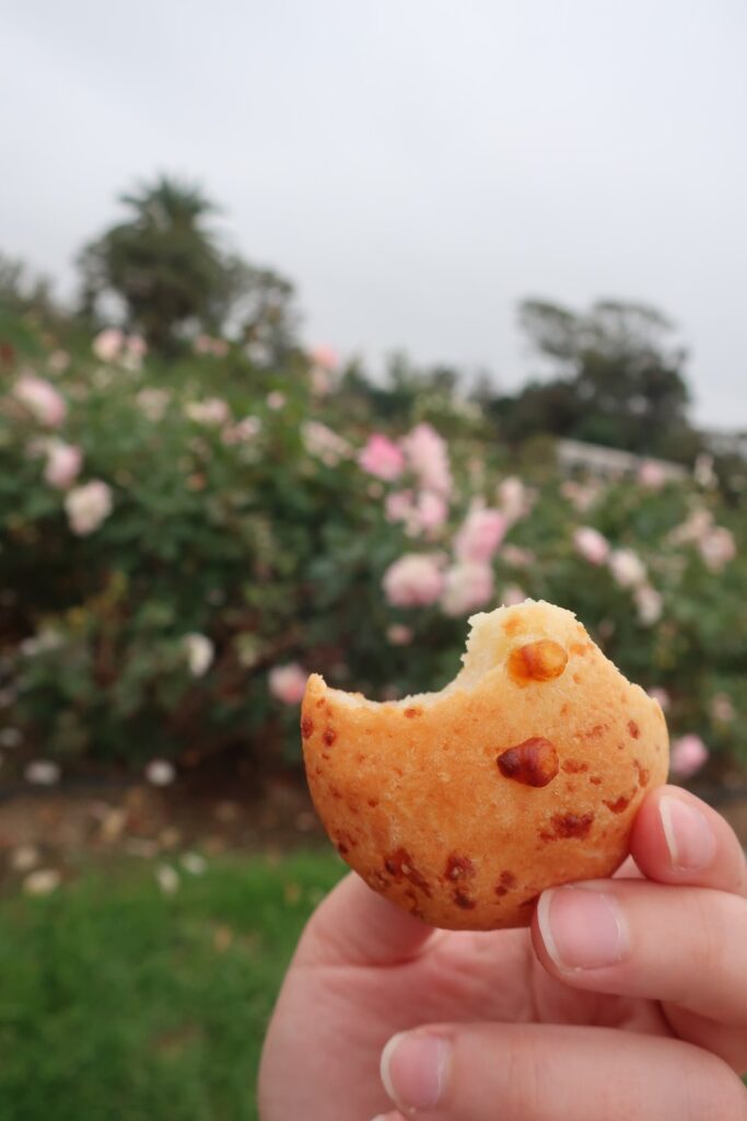 bite of a chipa in rose garden in buenos aires argentina; ecoparque buenos aires; backpacking south america; solo backpacking trip; female backpacking trip tips; solo travel tips; solo female travel; argentina travel itinerary