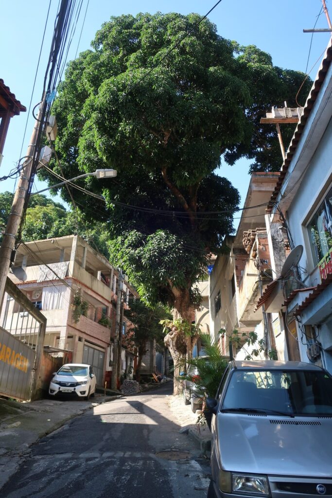 View from Vidigal favela of Rio de Janeiro, Brazil; favela tour in brazil; backpacking south america; solo backpacking trip; female backpacking trip tips; solo travel tips; solo female travel; brazil travel itinerary