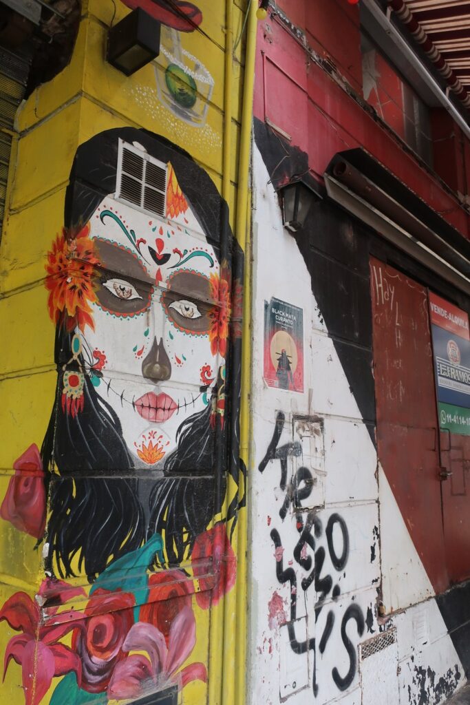 dia de los muertos mural in buenos aires argentina; ecoparque buenos aires; backpacking south america; solo backpacking trip; female backpacking trip tips; solo travel tips; solo female travel; argentina travel itinerary