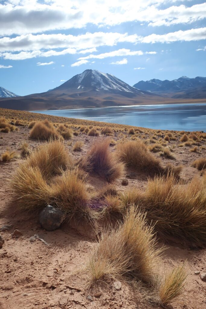 mountain and water views in san pedro de atacama chile; south american desert; solo travel; solo female travel; backpacking south america; backpacking tips; chile travel itinerary; chile travel; south america travel destinations; where to visit in south america