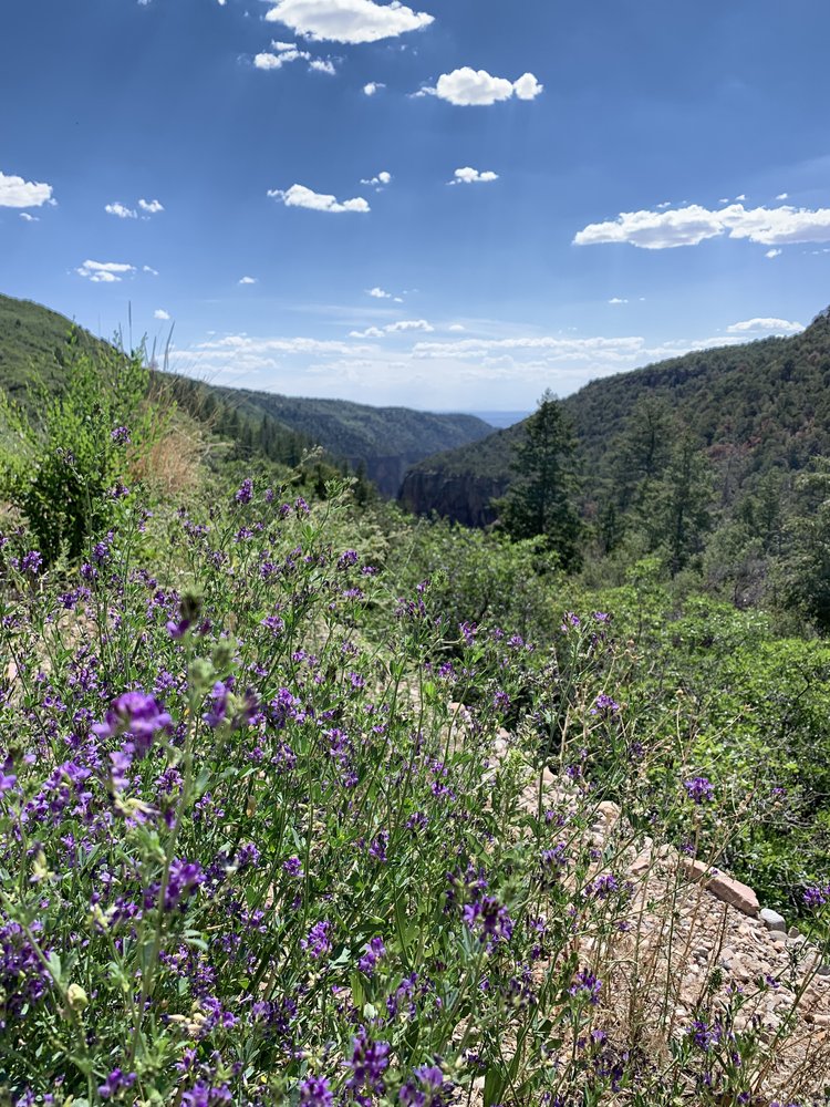 hike with purple flowers near arches national park in utah, usa; mother daughter trip; road trip south west; south west usa; utah travel itinerary; road trip tips; female travel; united states national park trip