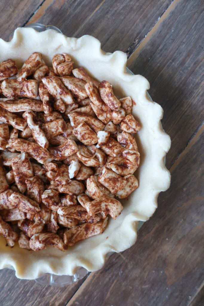 cut pieces of cinnamon rolls layered on top of pie crust for easy cinnamon roll pie with cream cheese filling