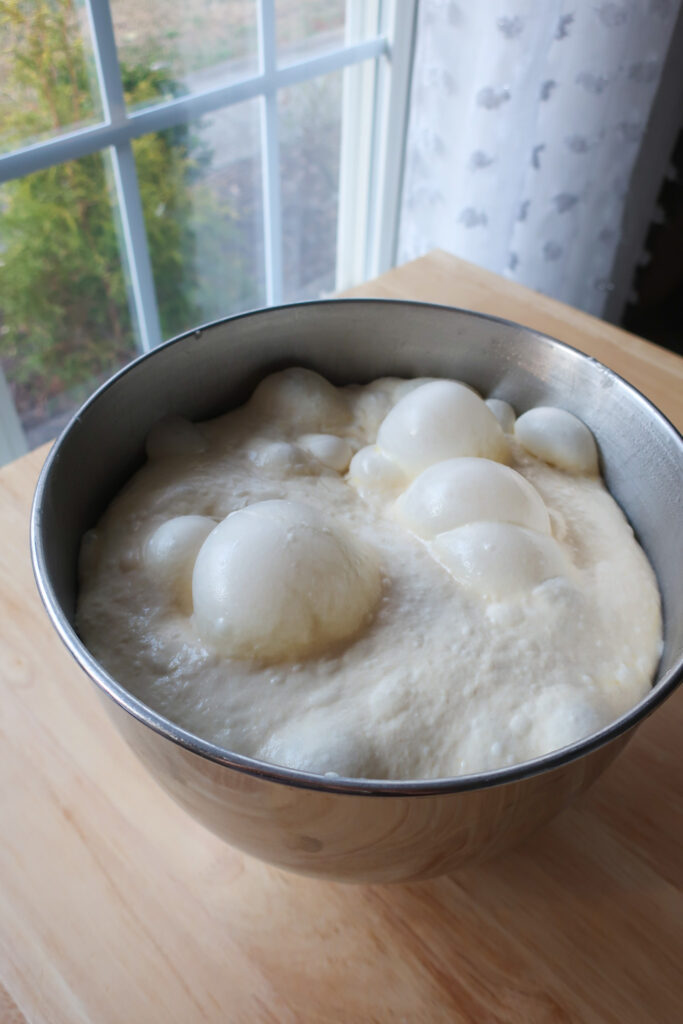 focaccia bubbly and rising in bowl