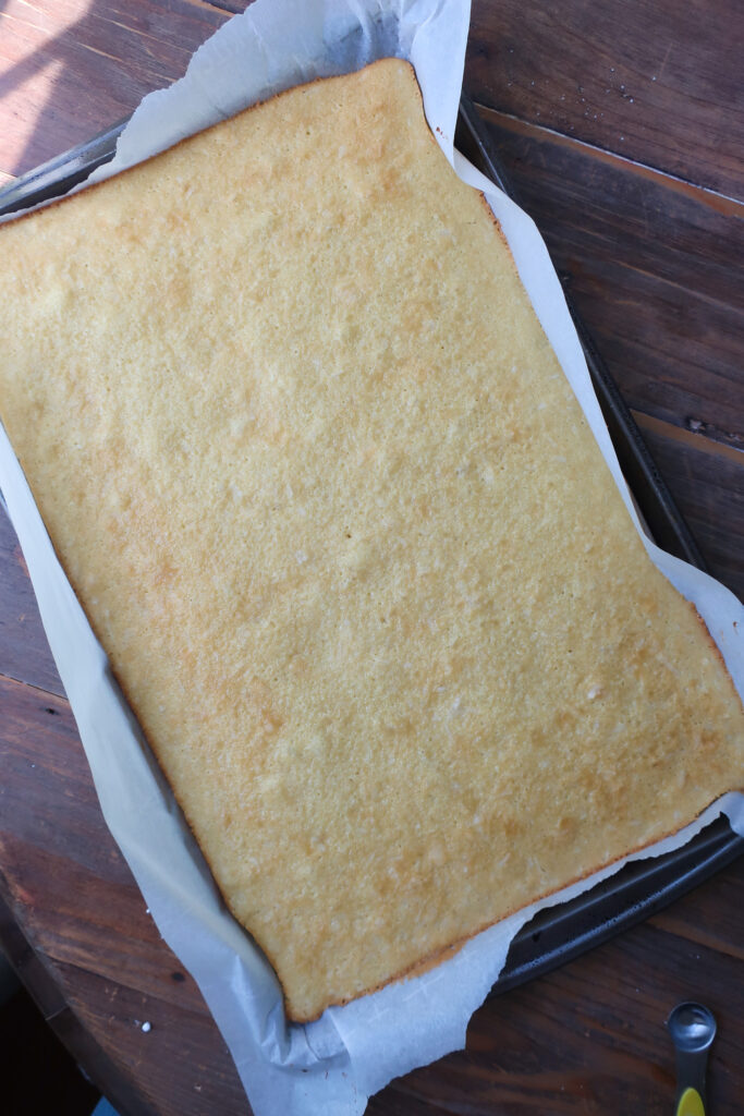 baked coconut texas sheet cake
