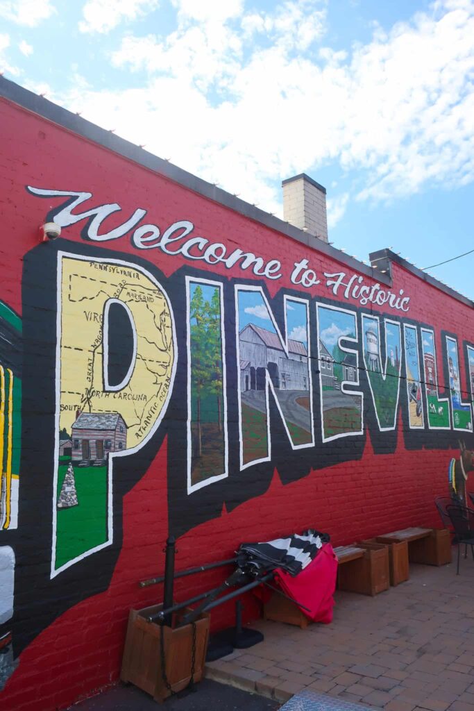 pineville nc downtown day trip