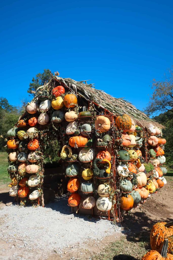 Pumpkin farm things to do in boone and blowing rock NC