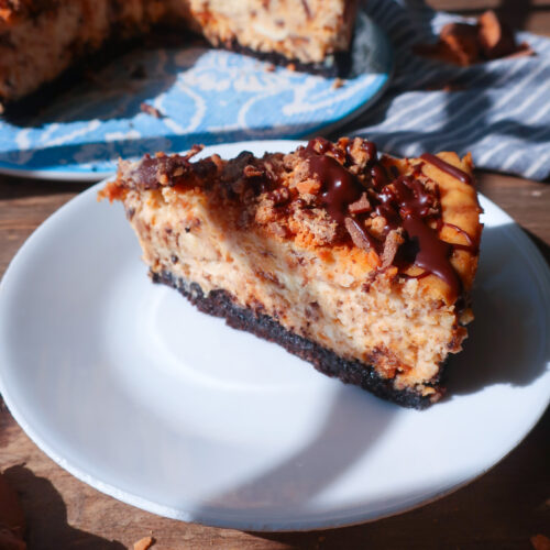 side of peanut butter chocolate cheesecake