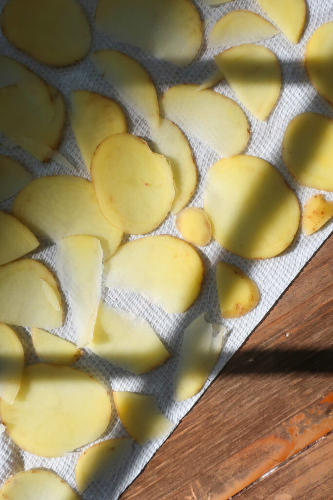 sliced potatoes drying on paper towel