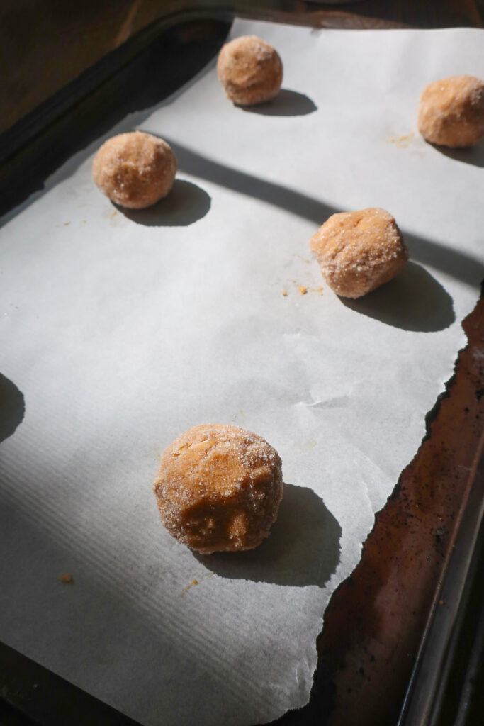 peanut butter cookie dough rolled in sugar