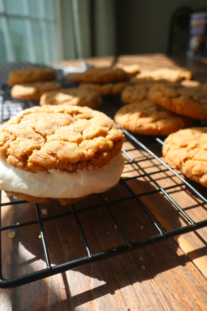 peanut butter cookie sandwiches with marshmallow fluff frosting