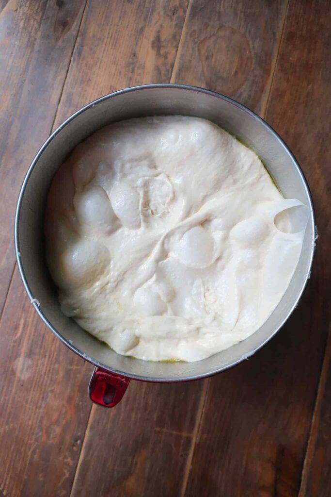 risen no-knead focaccia dough