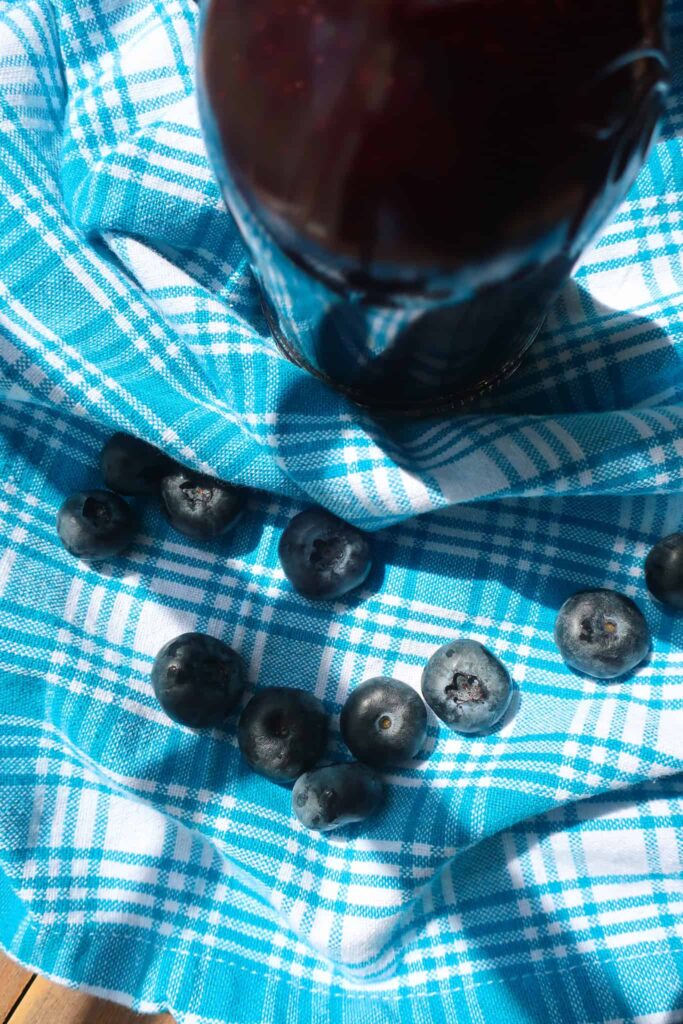 fresh blueberries on checkered blue napkin