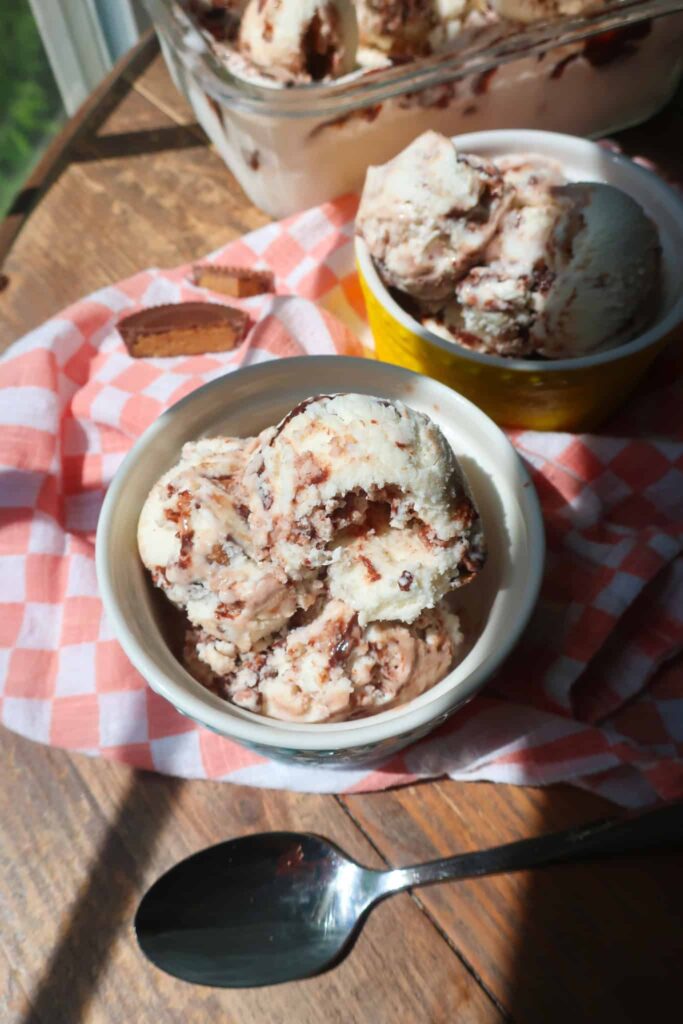 frozen yogurt with chocolate and peanut butter scooped in dish