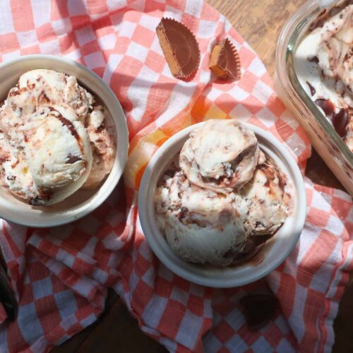 homemade Moose Tracks frozen yogurt recipe