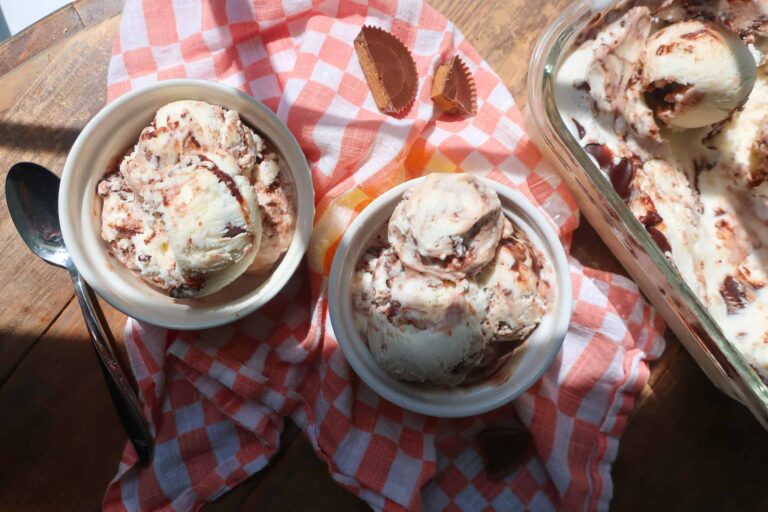 homemade Moose Tracks frozen yogurt recipe