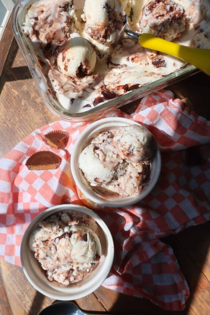 scoops of chocolate and vanilla frozen yogurt