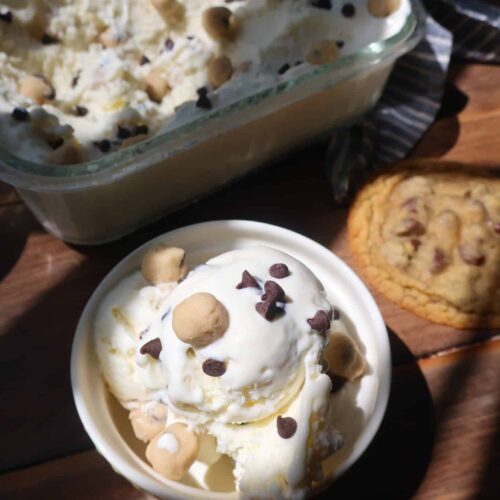 homemade frozen yogurt recipe with edible cookie dough