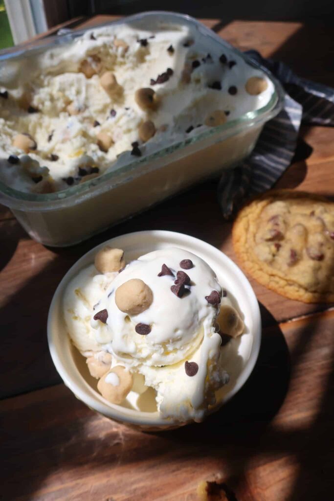 homemade frozen yogurt recipe with edible cookie dough