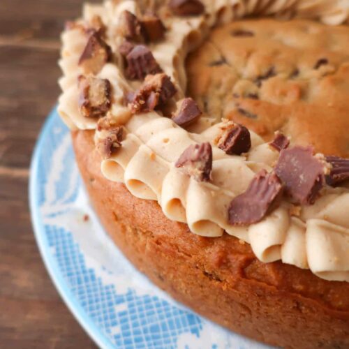 homemade peanut butter chocolate chip cookie cake