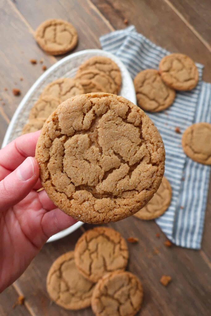 holding soft ginger cookie with crackly top