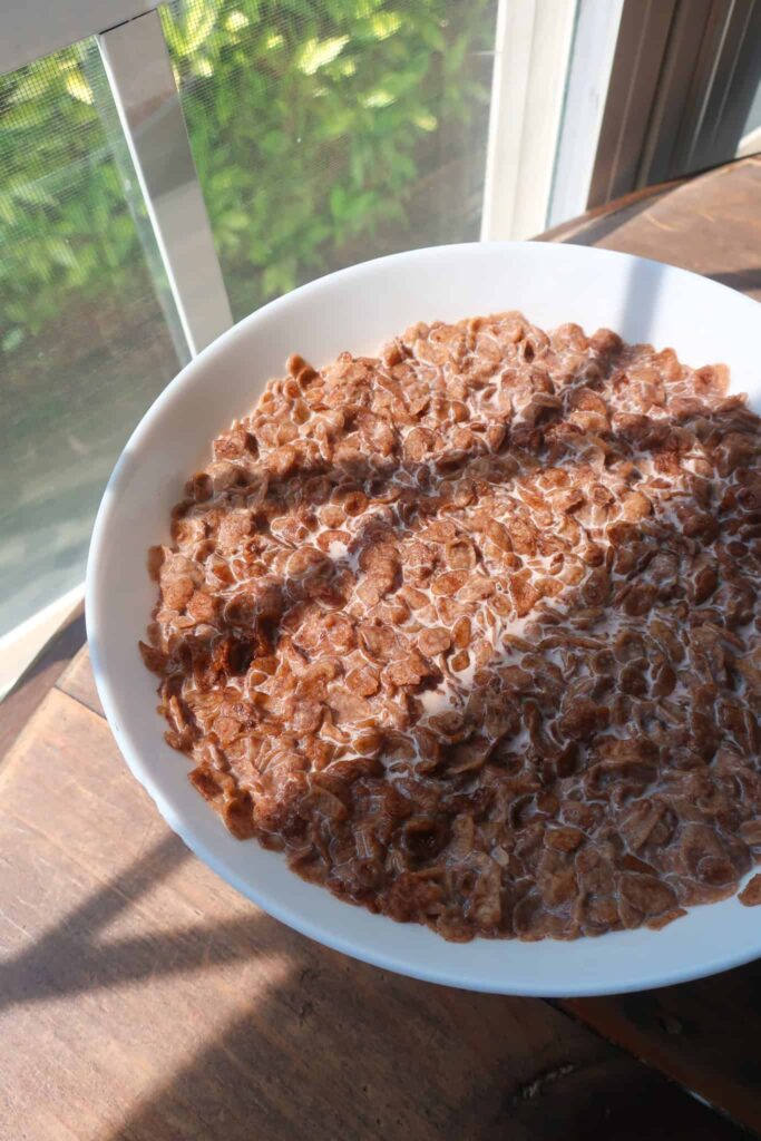 Chocolate cereal soaking in milk