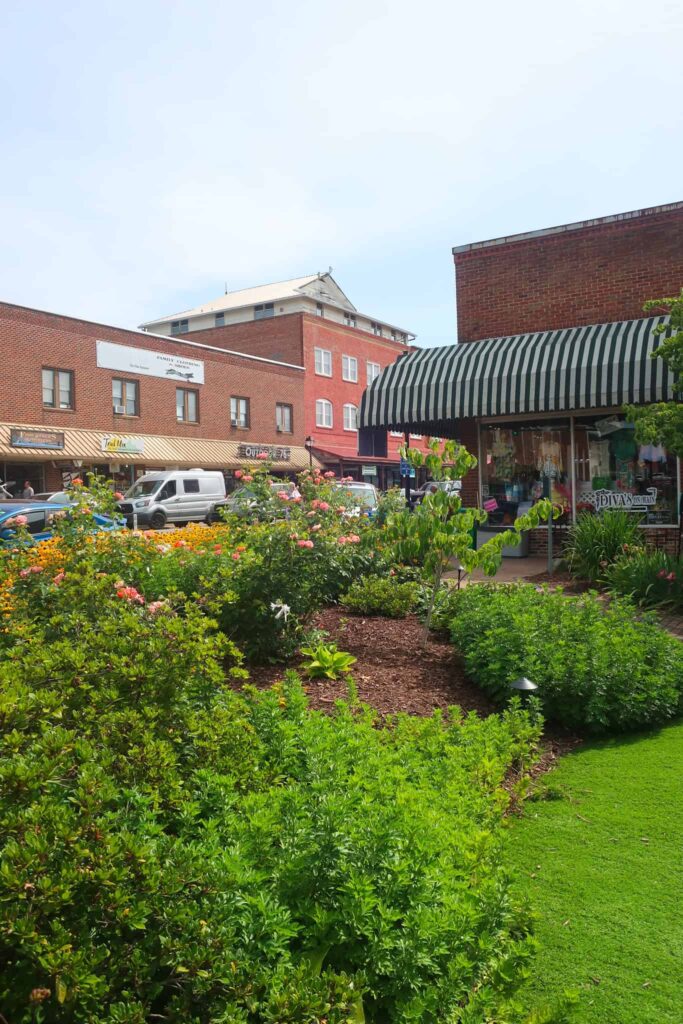 Gardens in downtown Franklin NC