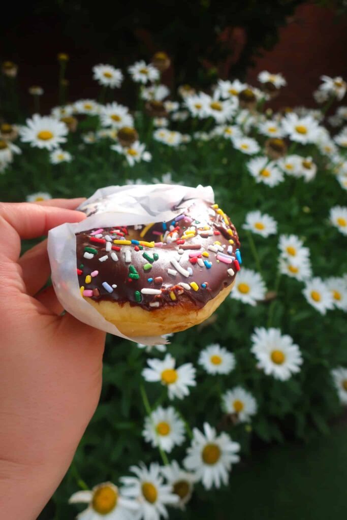 Holding fresh chocolate glazed donut from shop in Franklin NC