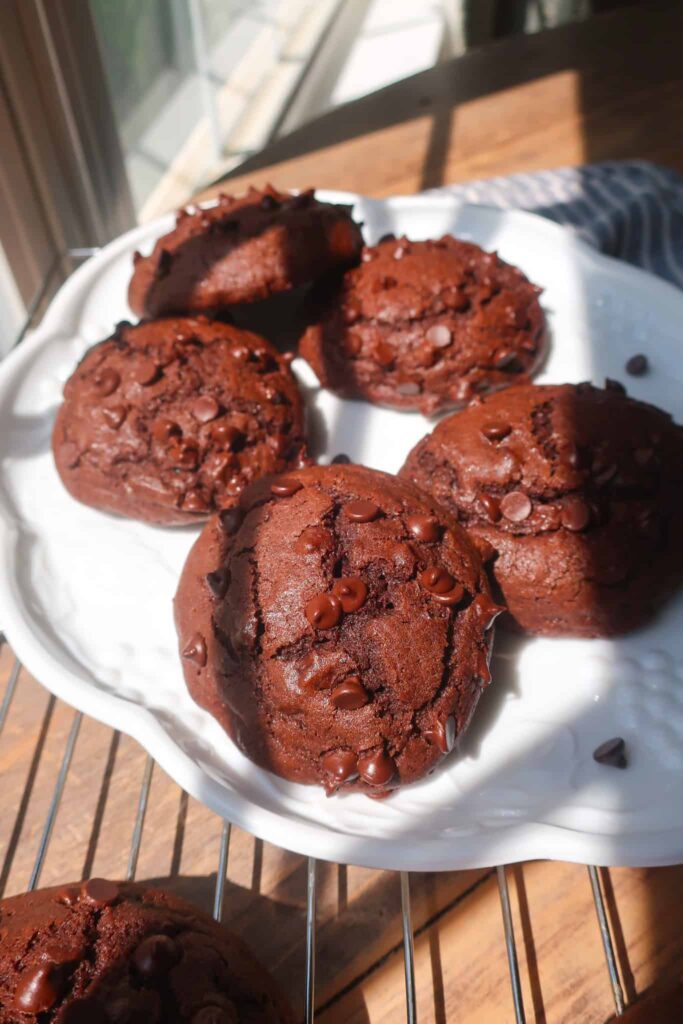 small batch chocolate muffins
