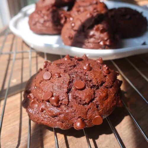 bakery-style chocolate muffin tops