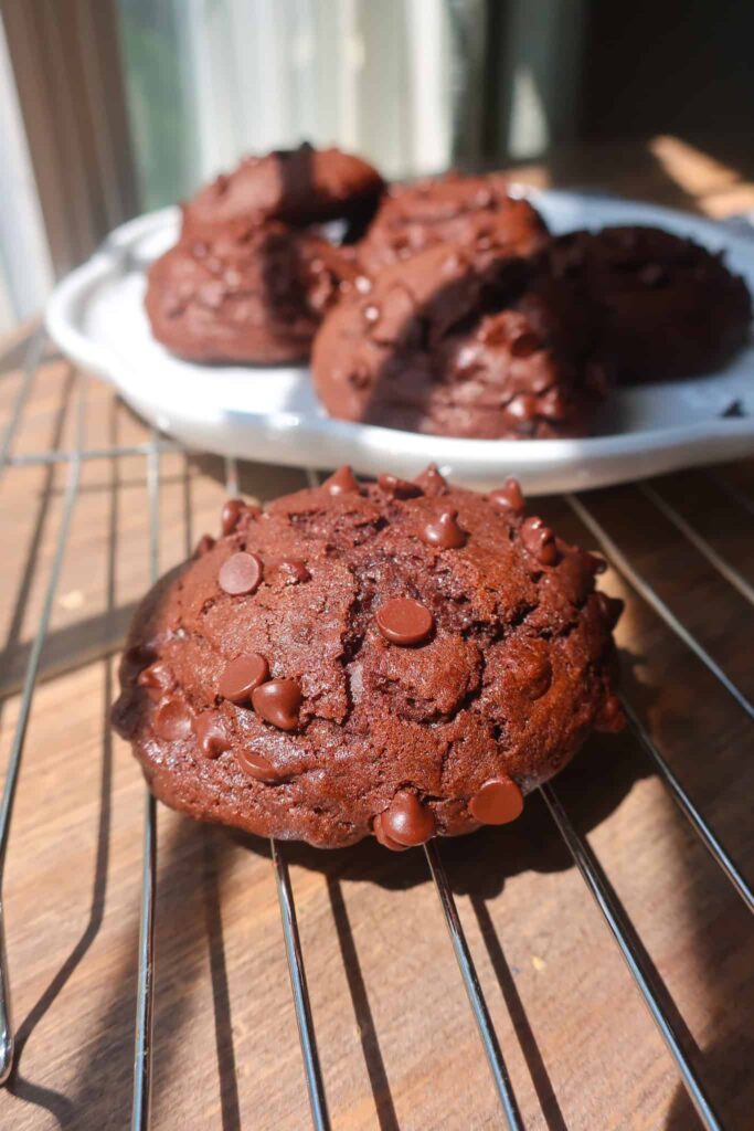 bakery-style chocolate muffin tops